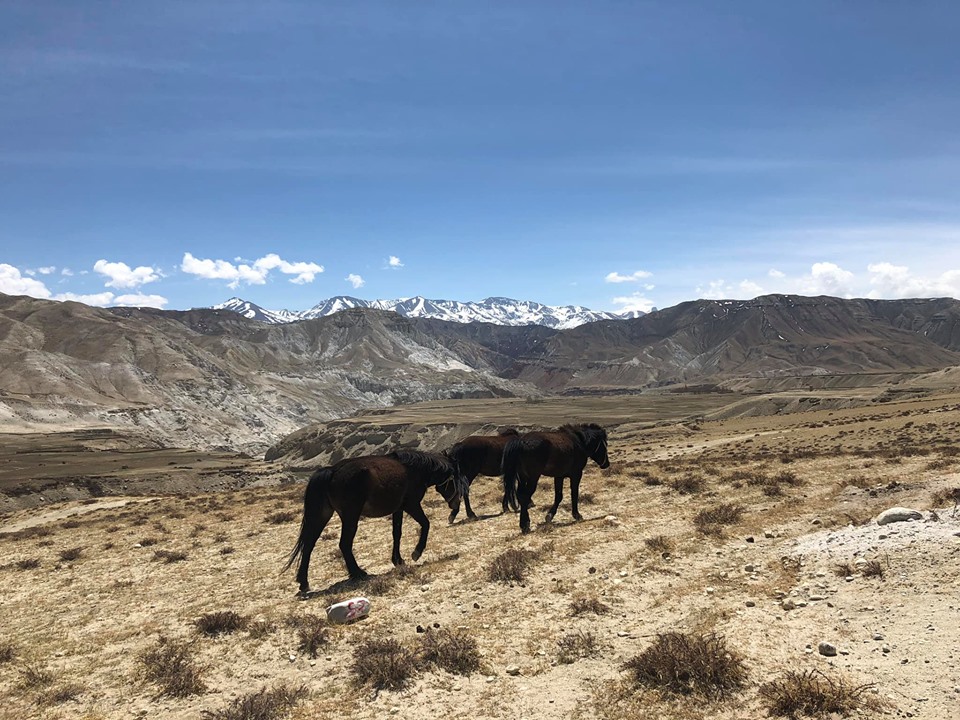Lomanthang