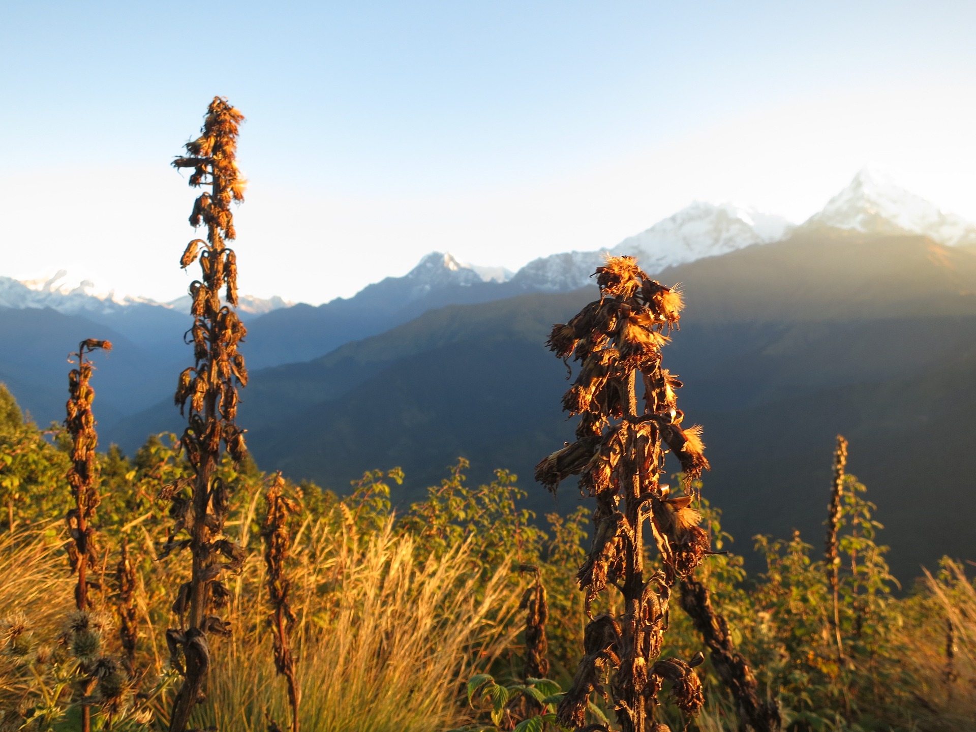 Poon Hill Trek